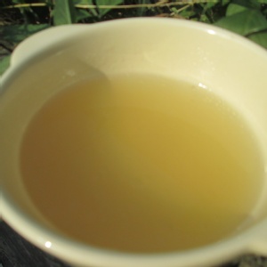 老薑母養生滴雞精//試喝6包//袋裝 特價：$234