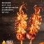 阿根廷三去魷魚串-2串組