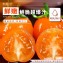 美濃李爸特甜橙蜜番茄