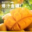 枋山阿梅姨-嚴選特A+愛文芒果(中果)