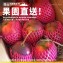 枋山阿梅姨-嚴選特A+愛文芒果(中果)
