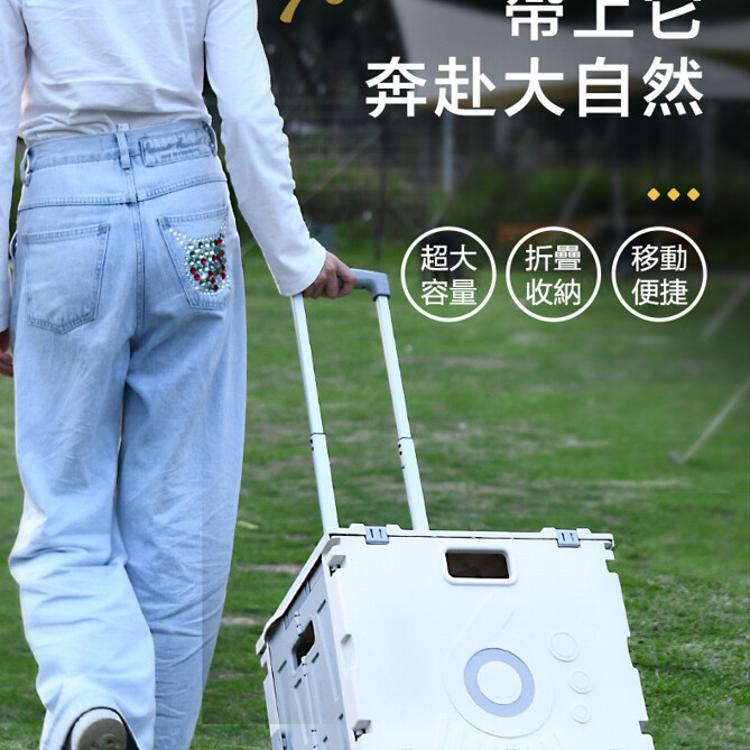 【DaoDi】四輪萬向折疊購物車升級置物槽