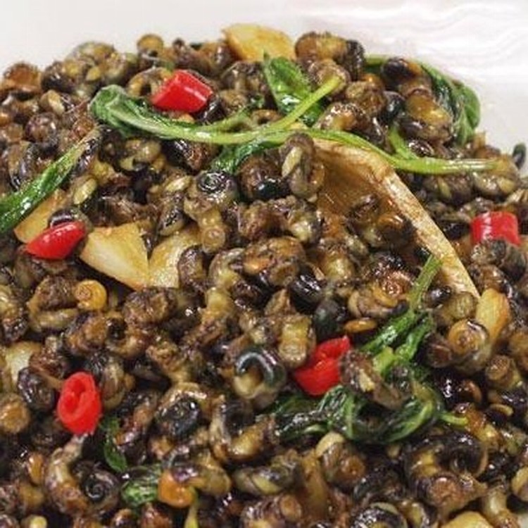 澎湖野生珠螺肉(己去螺蓋)