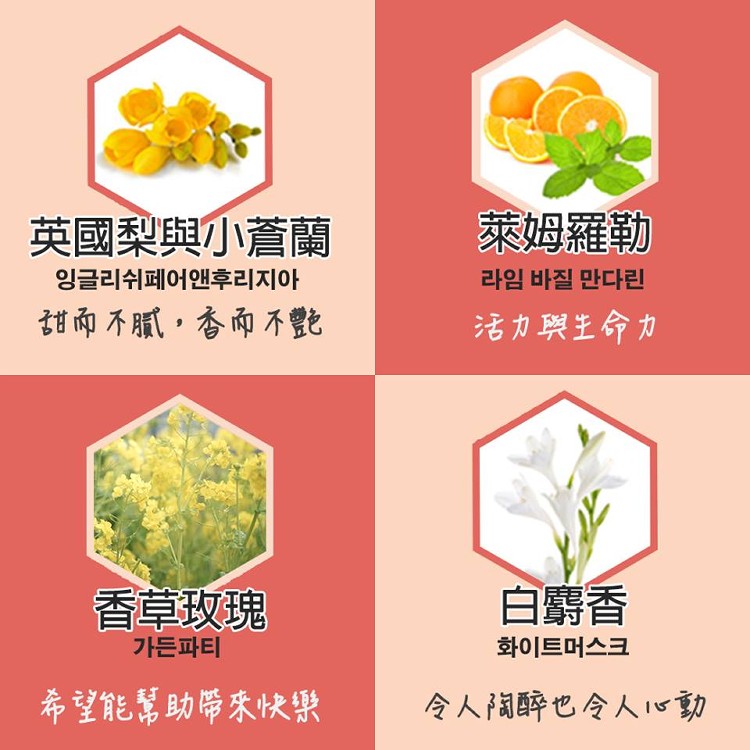 韓國製造【業界大容量擴香瓶500ml】無附擴香藤