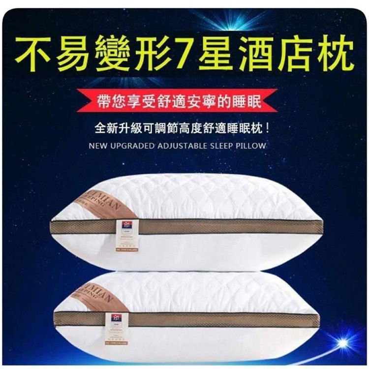 抗菌防蟎7星級飯店枕頭(一組2入)
