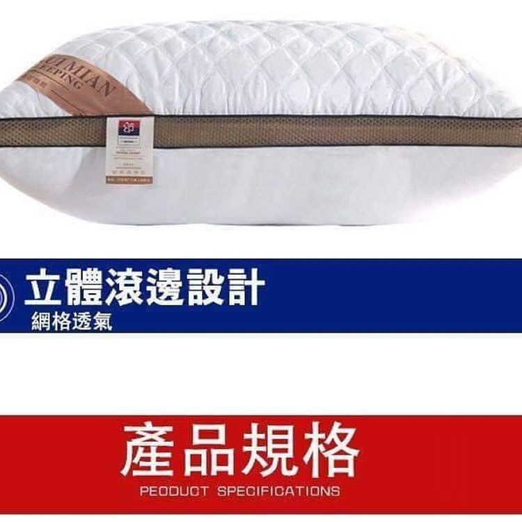 抗菌防蟎7星級飯店枕頭(一組2入)