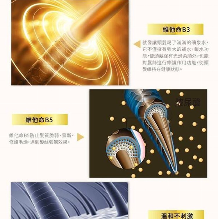 康朵 英國梨與小蒼蘭美容液洗髮乳1000ML