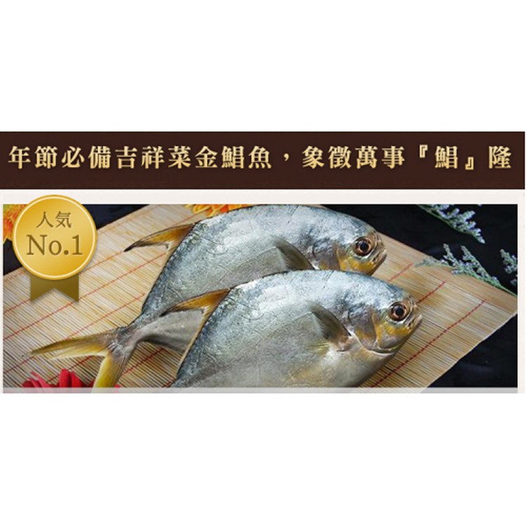 超大的黃金鯧魚