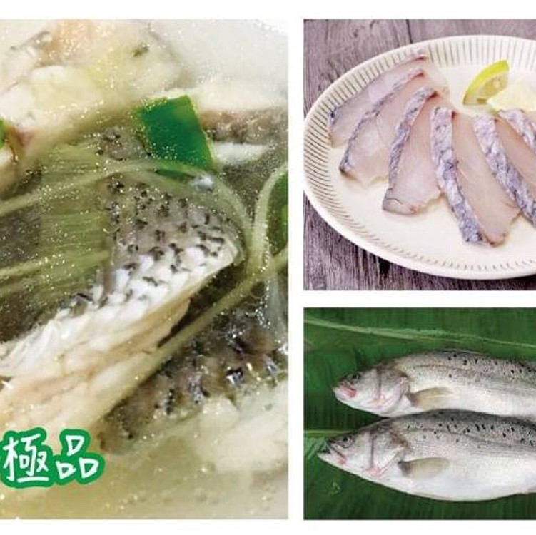 外銷等級新鮮無刺鱸魚片