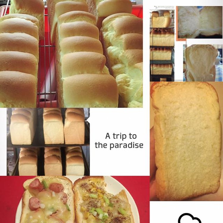 純鮮奶雞蛋吐司(含運)