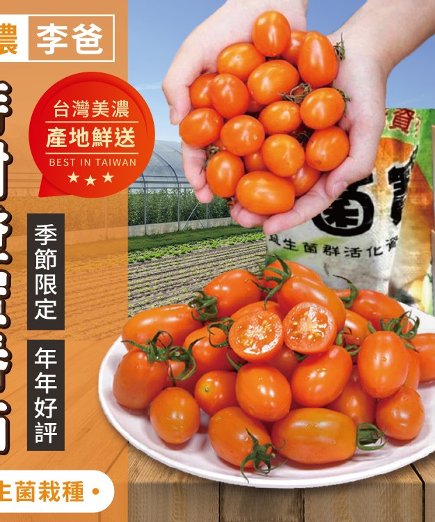 美濃李爸特甜橙蜜番茄