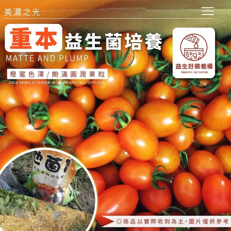 美濃李爸特甜橙蜜番茄