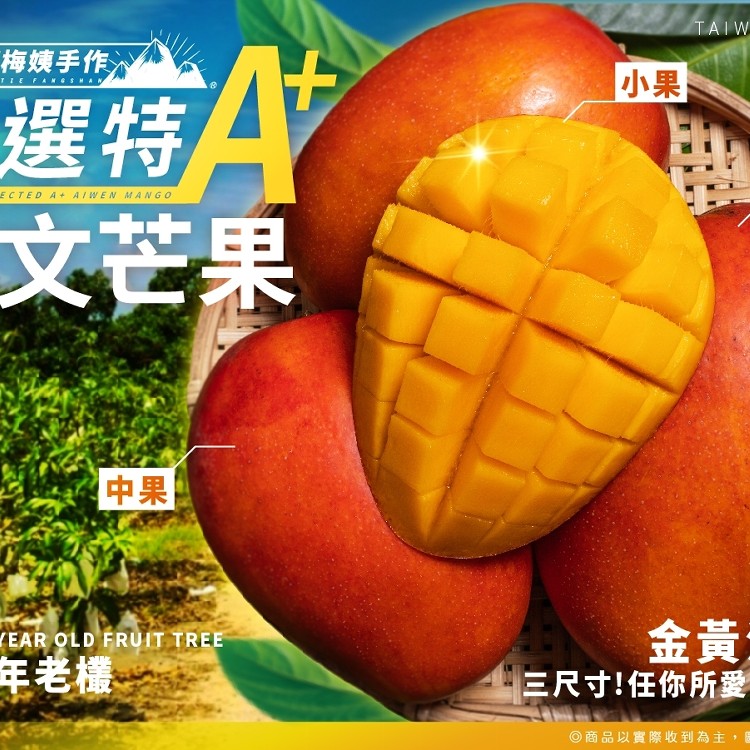 枋山阿梅姨-嚴選特A+愛文芒果(中果)