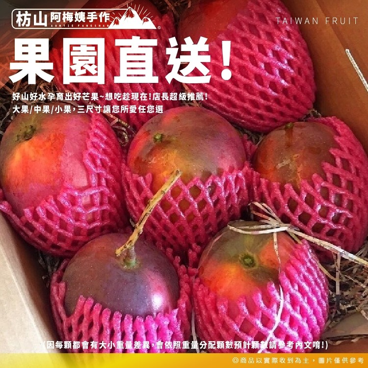 枋山阿梅姨-嚴選特A+愛文芒果(中果)