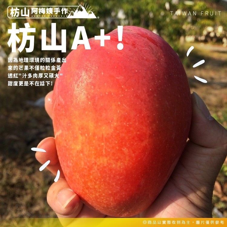 枋山阿梅姨-嚴選特A+愛文芒果(中果)