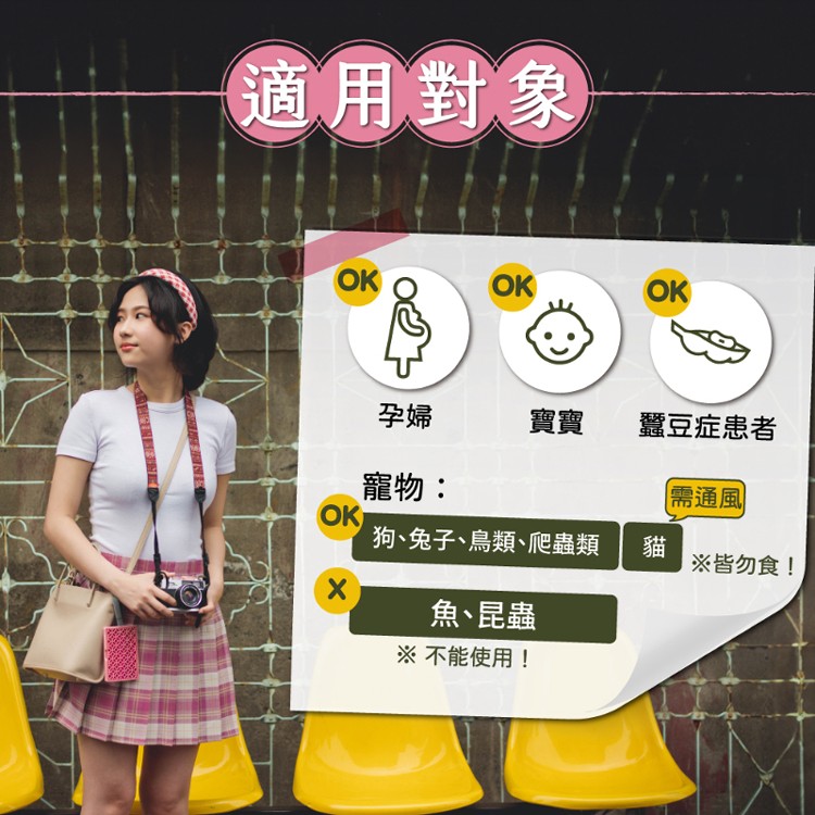 鱷魚130天造型防蚊片(1框1藥劑)古窗花