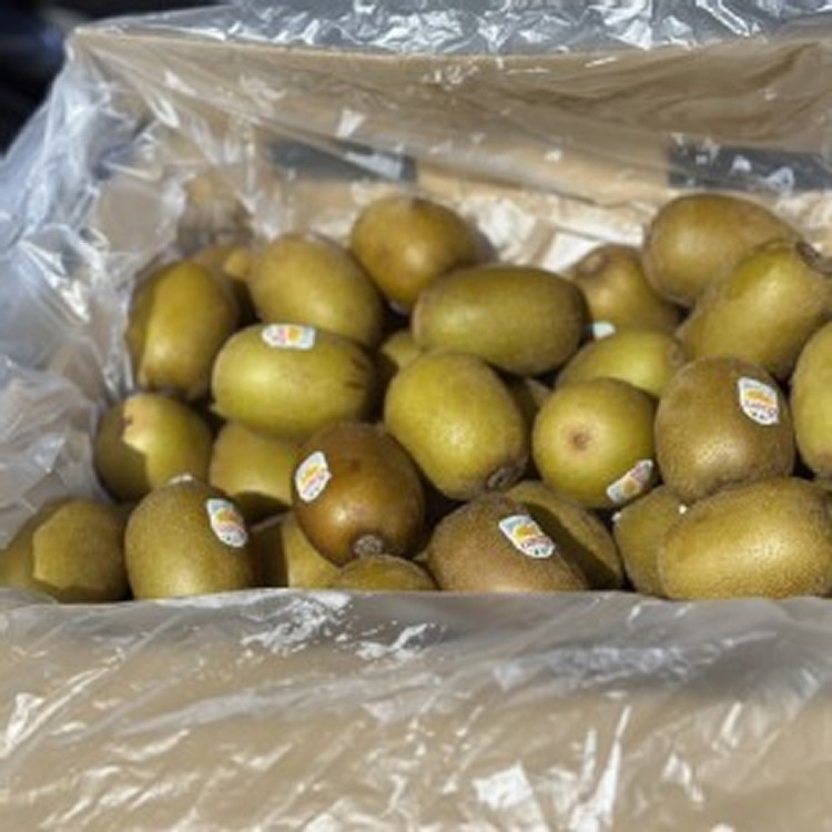 黃金奇異果-6顆