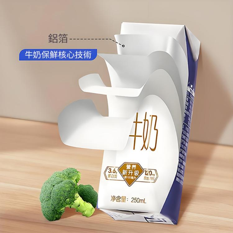 【CityStar】食物保鮮鋁箔收納袋套組(大中小各10入)