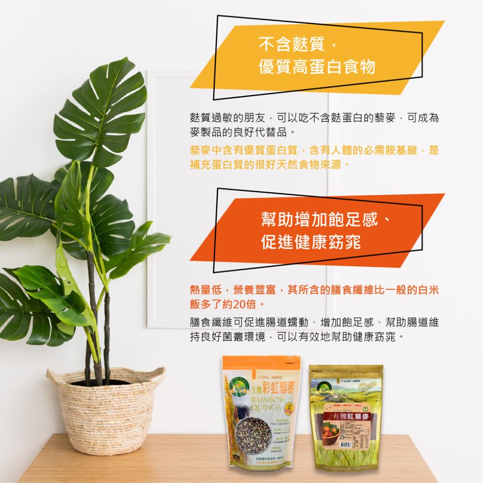 不含麩質,優質高蛋白食物，麩質過敏的朋友,可以吃不含麩蛋白的藜麥,可成為，麥製品的良好代替品。藜麥中含有優質蛋白質,含有人體必需胺基酸,是，補充蛋白質的很好天然食物來源。幫助增加飽足感、促進健康窈窕，熱量低,營養豐富,其所含的膳食纖維比一般的白米，飯