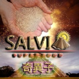 SALVIA奇異子(鼠尾草籽)高抗氧化力神奇Omega3種子 秘魯黃金鼠尾草籽(兩罐裝)