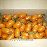 橙蜜香蕃茄5斤 特價：$280