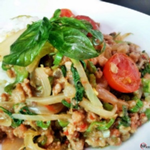 【泰凱食堂】正宗泰式打拋豬 特價：$10