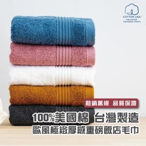 【HKIL-巾專家】MIT歐風極緻厚感重磅飯店毛巾(5色任選)