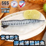 挪威當季野生薄鹽鯖魚