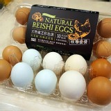 天然靈芝彩色蛋-10粒裝