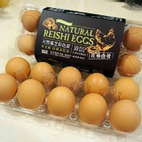 天然靈芝土雞蛋-10粒裝