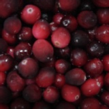 全方位滿點的營養 天然2~5種冷凍莓果混合(任選)6kg裝.只要1980 特價：$1980