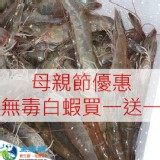 SGS藥殘認證活凍生態養殖白蝦(特大)