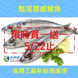 整尾挪威薄鹽鯖魚x2