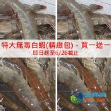 SGS認證活凍無毒白蝦(精緻夾鏈袋) 特價：$180