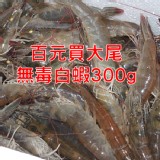 SGS藥殘認證活凍生態養殖白蝦(大) 特價：$100