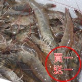 SGS藥殘認證活凍生態養殖白蝦(特大)