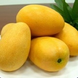 全台唯一註冊專利的芒果~夏雪(2.5kg A級禮盒)_濃郁的土芒果風味與口感哦~