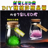 創意LED燈DIY種植許願晶靈