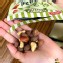 sunnuts杏仁果香蒜奶油味