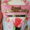 韓國Biobor玫瑰C+軟糖🌹🌹