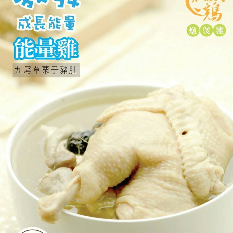 【燉煲雞-能量雞】