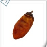 新埔-蜜(筆)柿餅 特價：$150