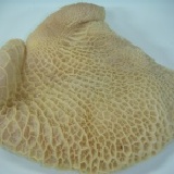 澳洲蜂巢肚(每公斤售價) 約1kg/包(不定重；每公斤單價$220元)(本月特價商品)