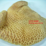 澳洲蜂巢肚(每公斤售價) 2片約1kg/包(不定重產品)