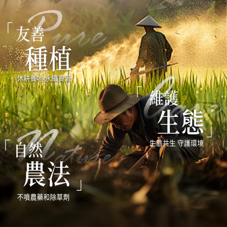 【糖鼎黑糖】小包-黑糖磚/冰糖磚系列 任選