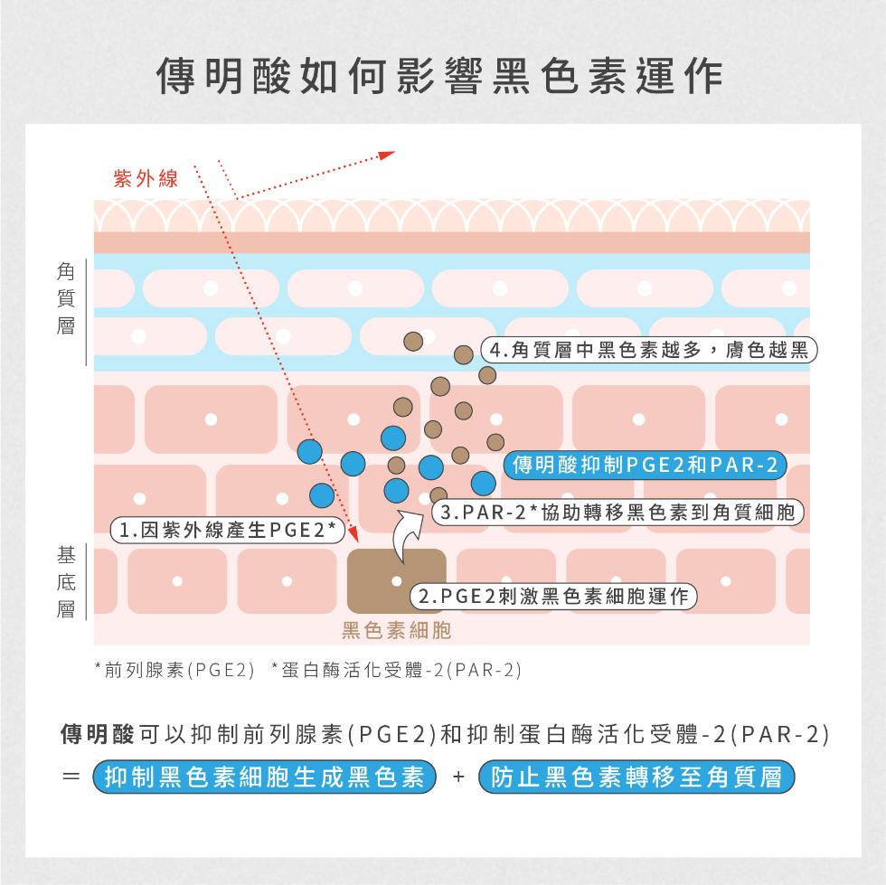 角質層,傳明酸如何影響黑色素運作,紫外線,基底層,4.角質層中黑色素越多,膚色越黑,傳明酸抑制PGE2和PAR-2,(3.PAR-2協助轉移黑色素到角質細胞,1.因紫外線產生PGE2,(2.PGE2刺激黑色素細胞運作,黑色素細胞,前列腺素(PGE2)