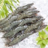 草蝦~優質嚴選~活蝦現凍~鮮度一級棒 活凍大草蝦~純淨海域~孕育出鮮甜~肉質彈Q的品質