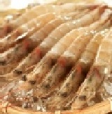 白蝦~SPA蝦~優質嚴選~活蝦現凍~鮮度一級棒 活凍SPA蝦~純淨海域~孕育出鮮甜~肉質彈Q的品質