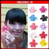 【希臘花朵髮夾 C款】不挑色10元【黑店9481】 超可愛的花朵點點髮夾 好搭 點綴您的髮型