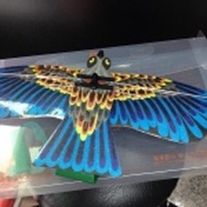 台灣新型專利互動型風箏_飛鳥 特價：$390